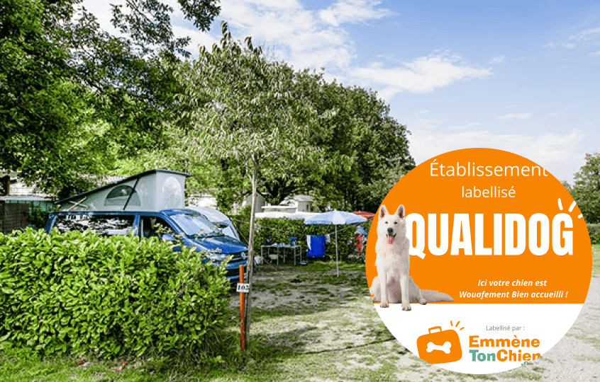 label camping animaux acceptés